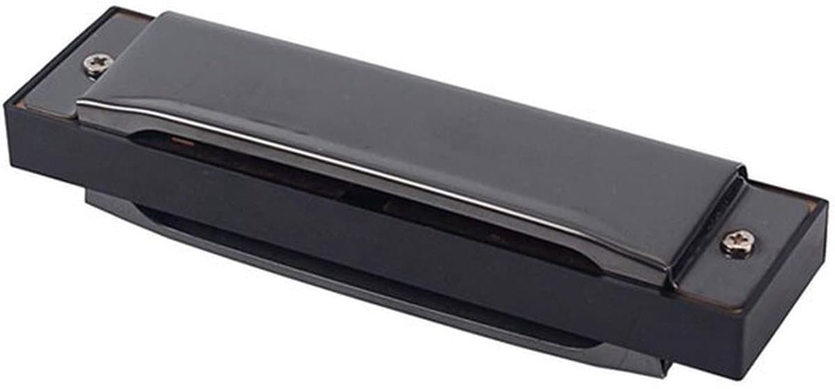 10 Gaten Mondharmonica - Blues Harmonica - Inclusief Case en Reinigingsdoekje - Sleutel C - Voor Beginners en Professionals - 20 melodieën