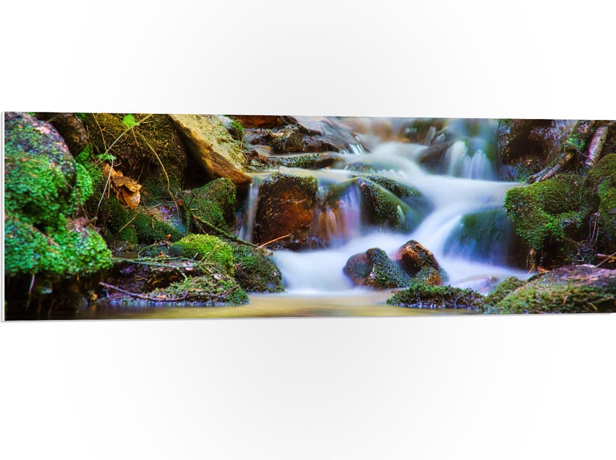 PVC Schuimplaat- Kleine Stromende Rivier door het Regenwoud - 120x40 cm Foto op PVC Schuimplaat