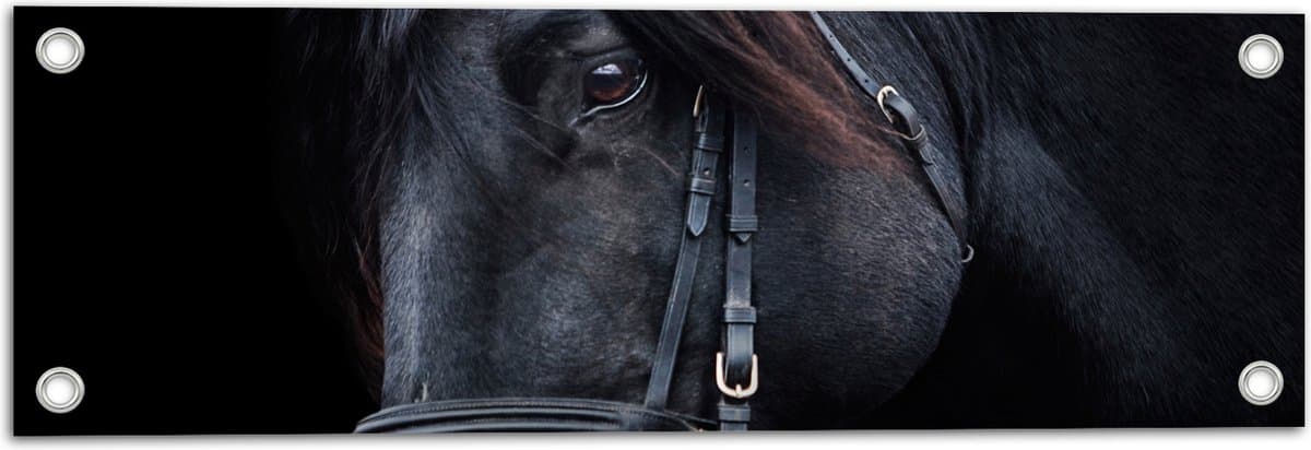 Tuinposter – Halster om Kop van Bruin Paard - 60x20 cm Foto op Tuinposter (wanddecoratie voor buiten en binnen)