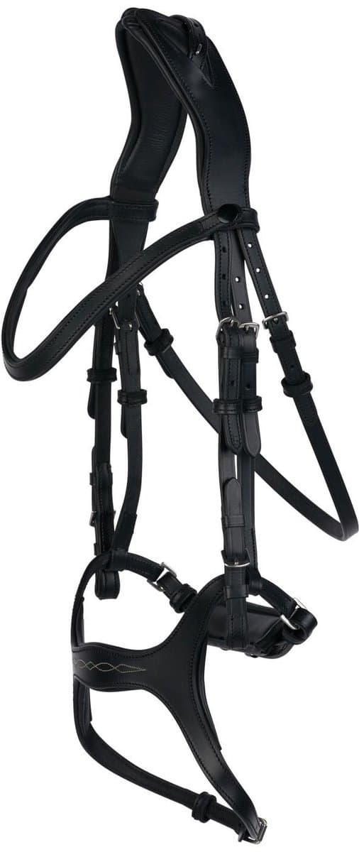 Horze Peckham Anatomisch Hoofdstel met borduursel, Black, Warmblut