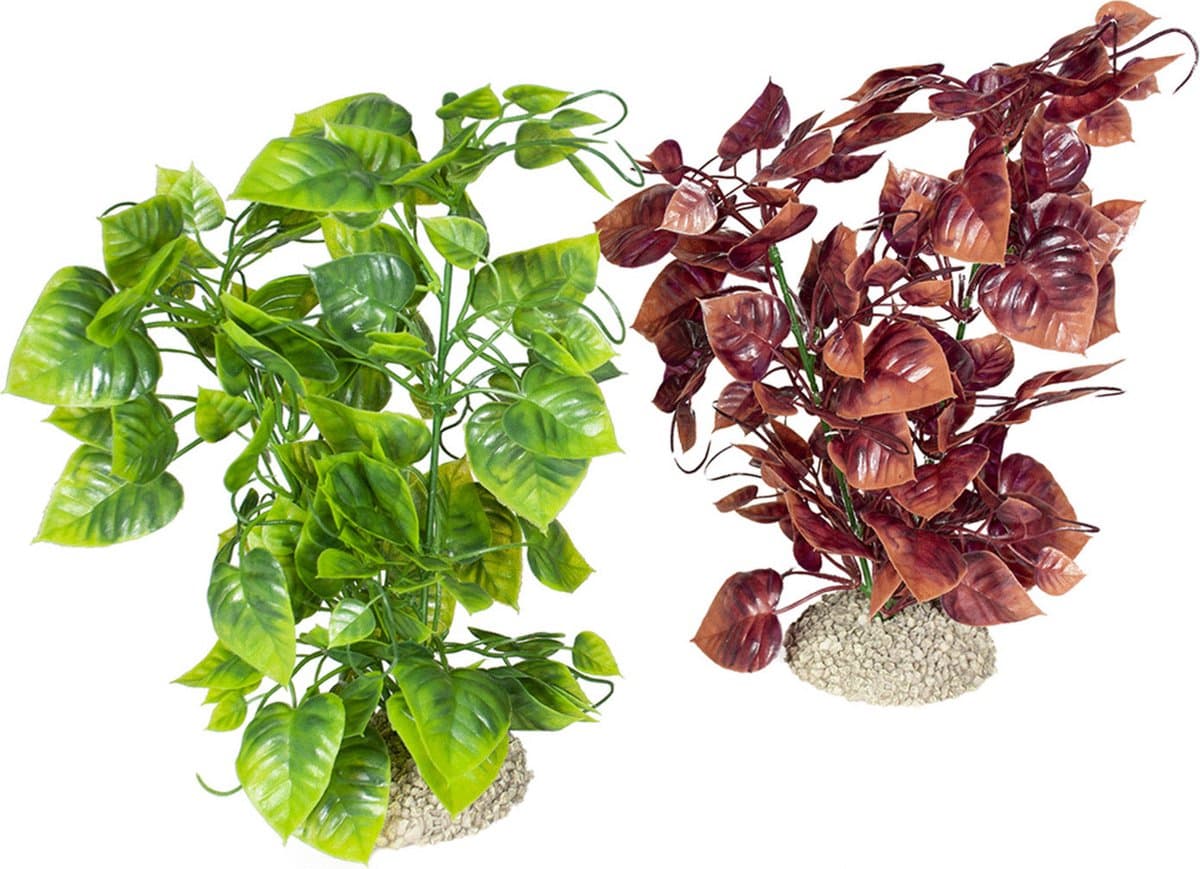 Aqua Della Decor Plant Anubias Nana - Aquarium - Kunstplant - 25 cm Assorti