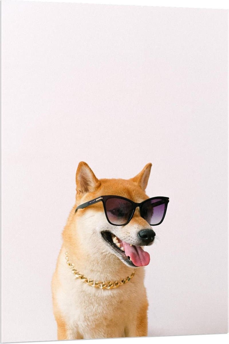 Acrylglas - Stoere Hond met Zonnebril en Gouden Ketting - 80x120cm Foto op Acrylglas (Met Ophangsysteem)