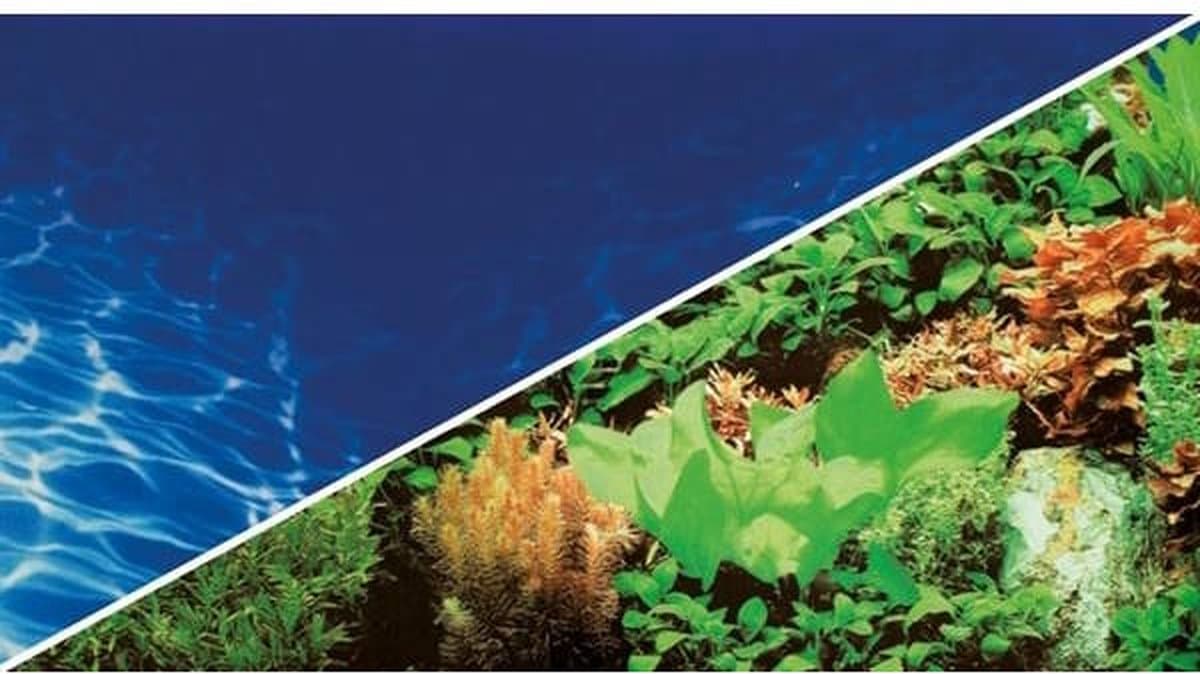 Hobby Foto Achterwand Plants 8/Marin Blue 60CM x 30CM