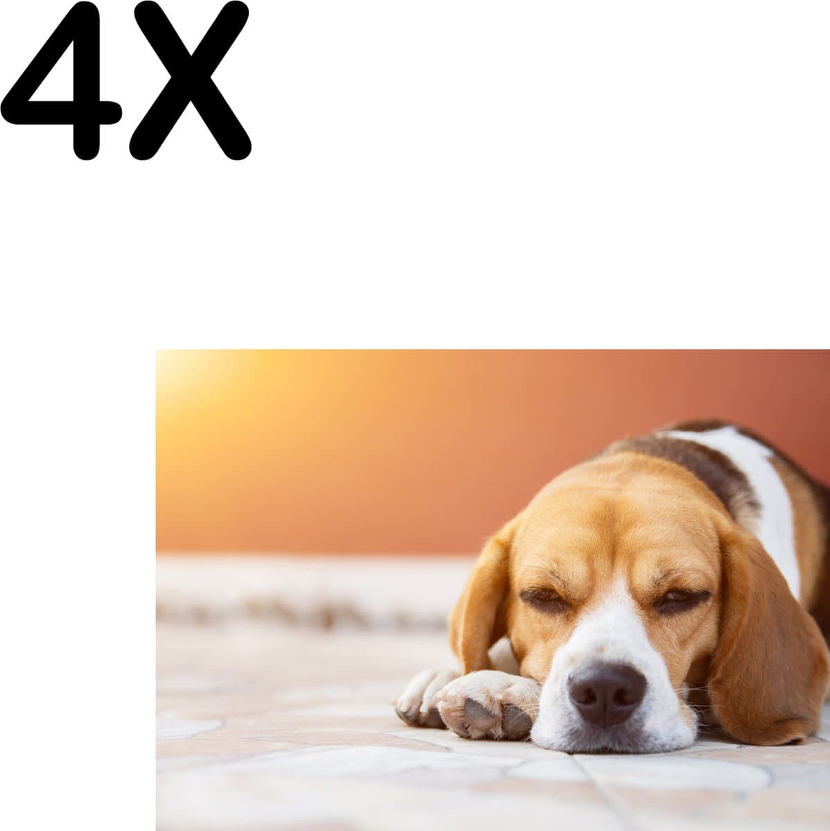 BWK Textiele Placemat - Liggende Beagle Puppy - Set van 4 Placemats - 35x25 cm - Polyester Stof - Afneembaar