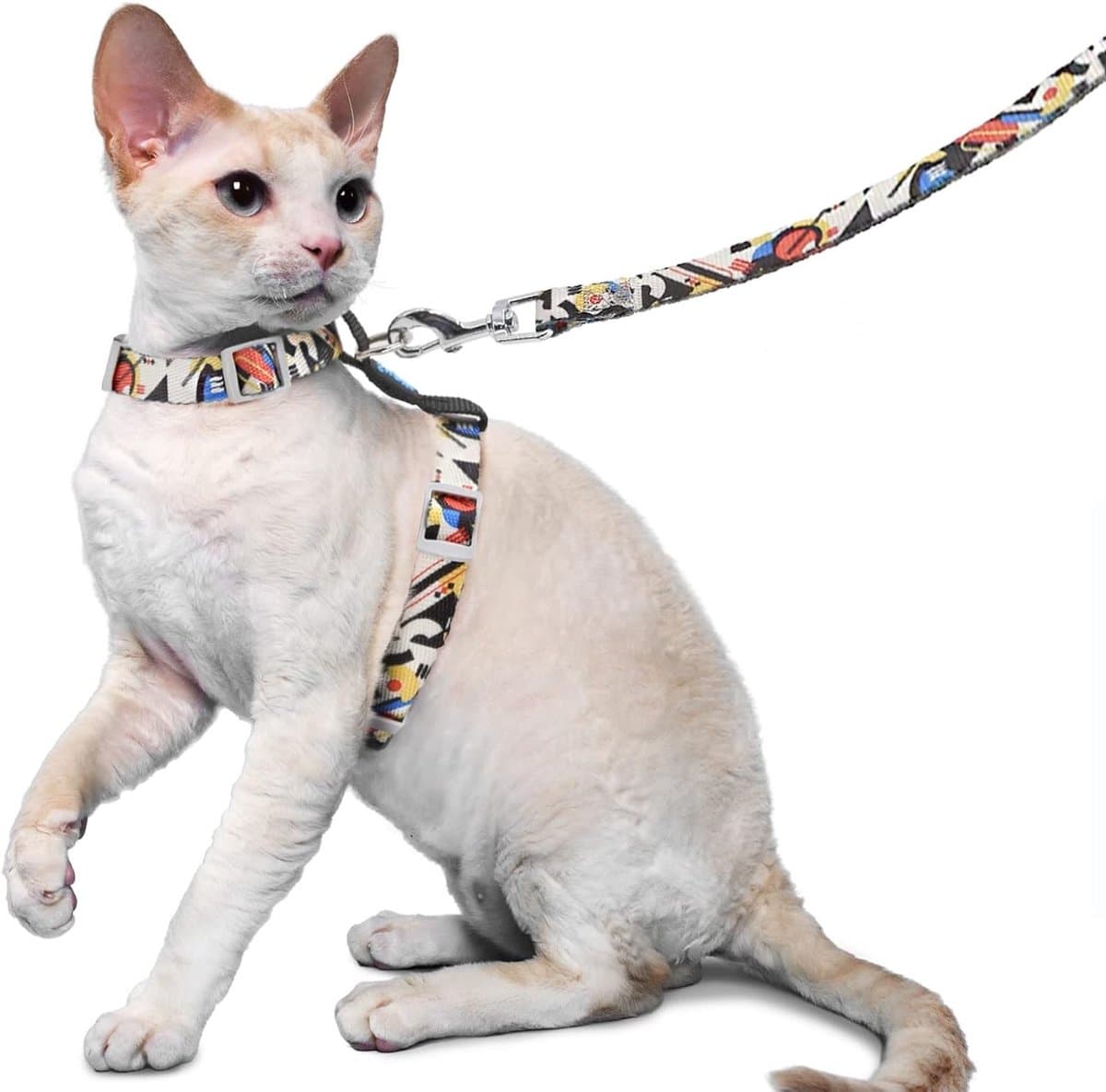 Verstelbare en Lichtgewicht Kattenharnas met Leash, Schokbestendig Vest voor Kleine en Grote Katten, Ideaal voor Wandelen en Comfortabele Draagervaring