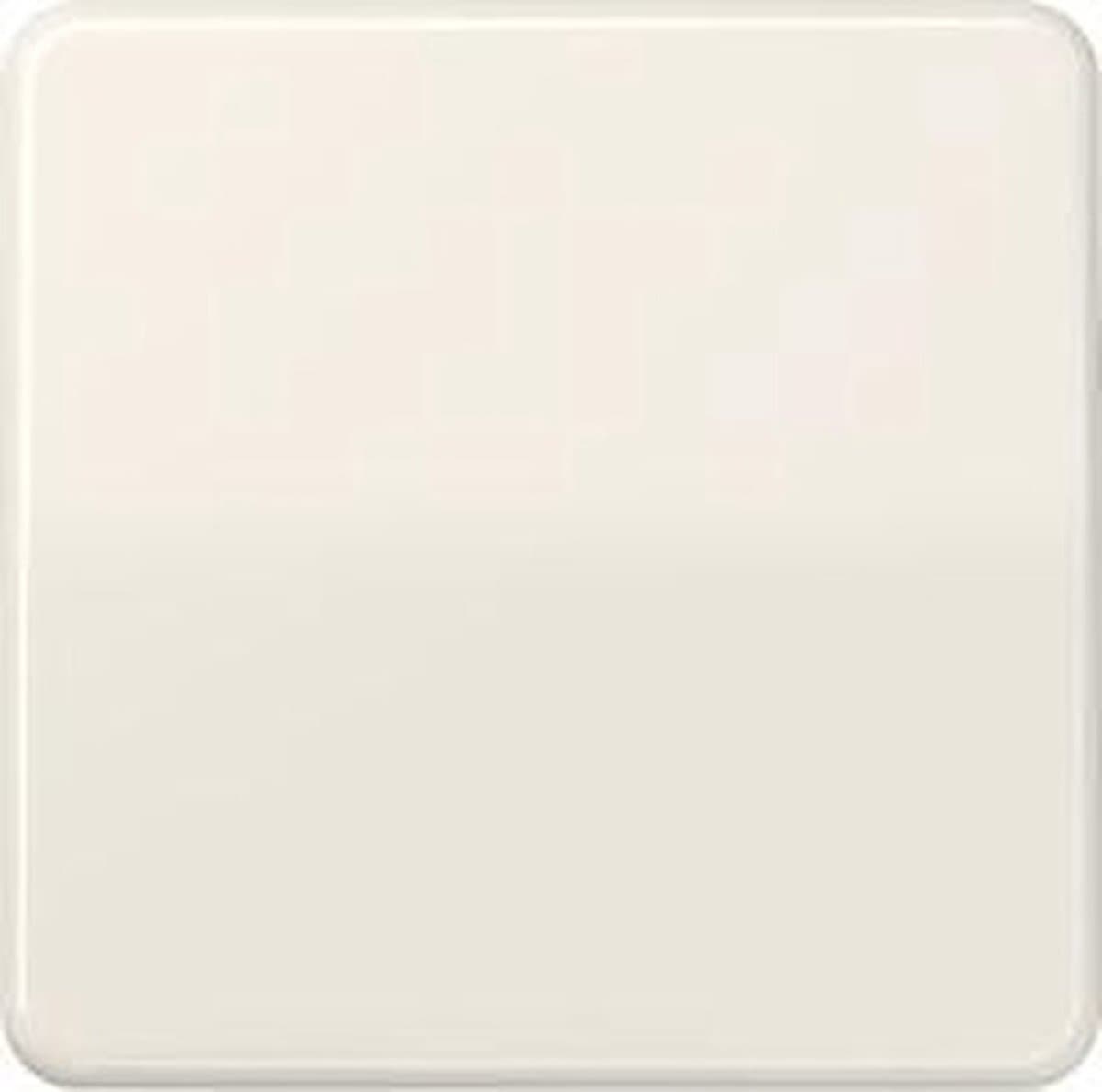 Jung CD500 Schakelelement/Centrale Plaat - CD590BF - E2V2N