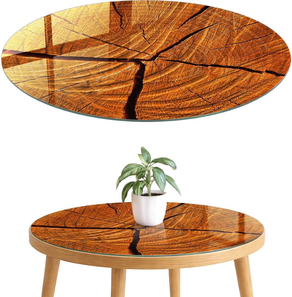 ArtPrintCave Houtdoorsnede Glazen Tafelblad fi80 cm - Tafelblad Rond - Bruin Eettafel Met Glasplaat - Natuur Glazen Eettafel