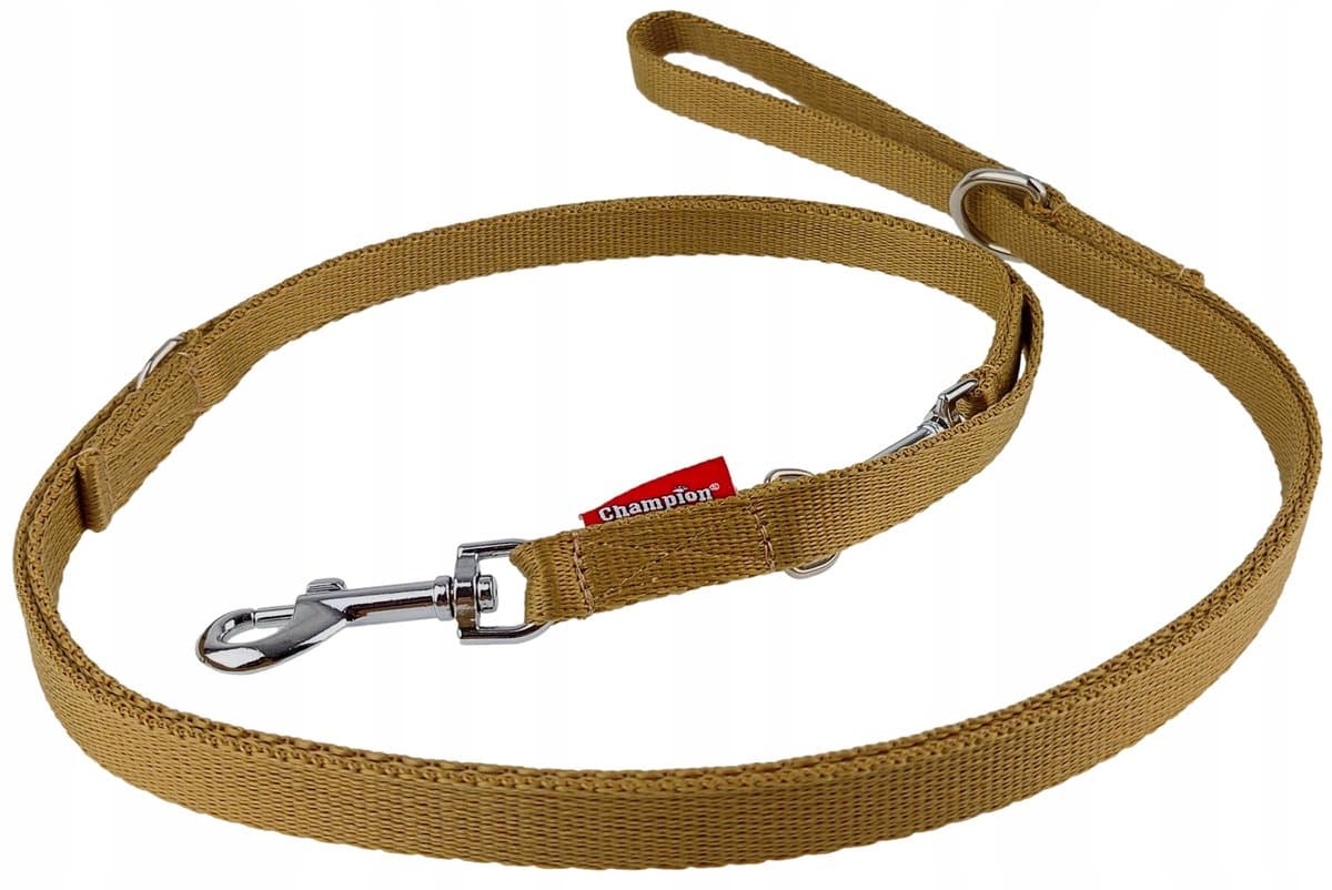 Champion Hondenlijn Verstelbaar 225cm Breedte 1.6cm PP Band Goud