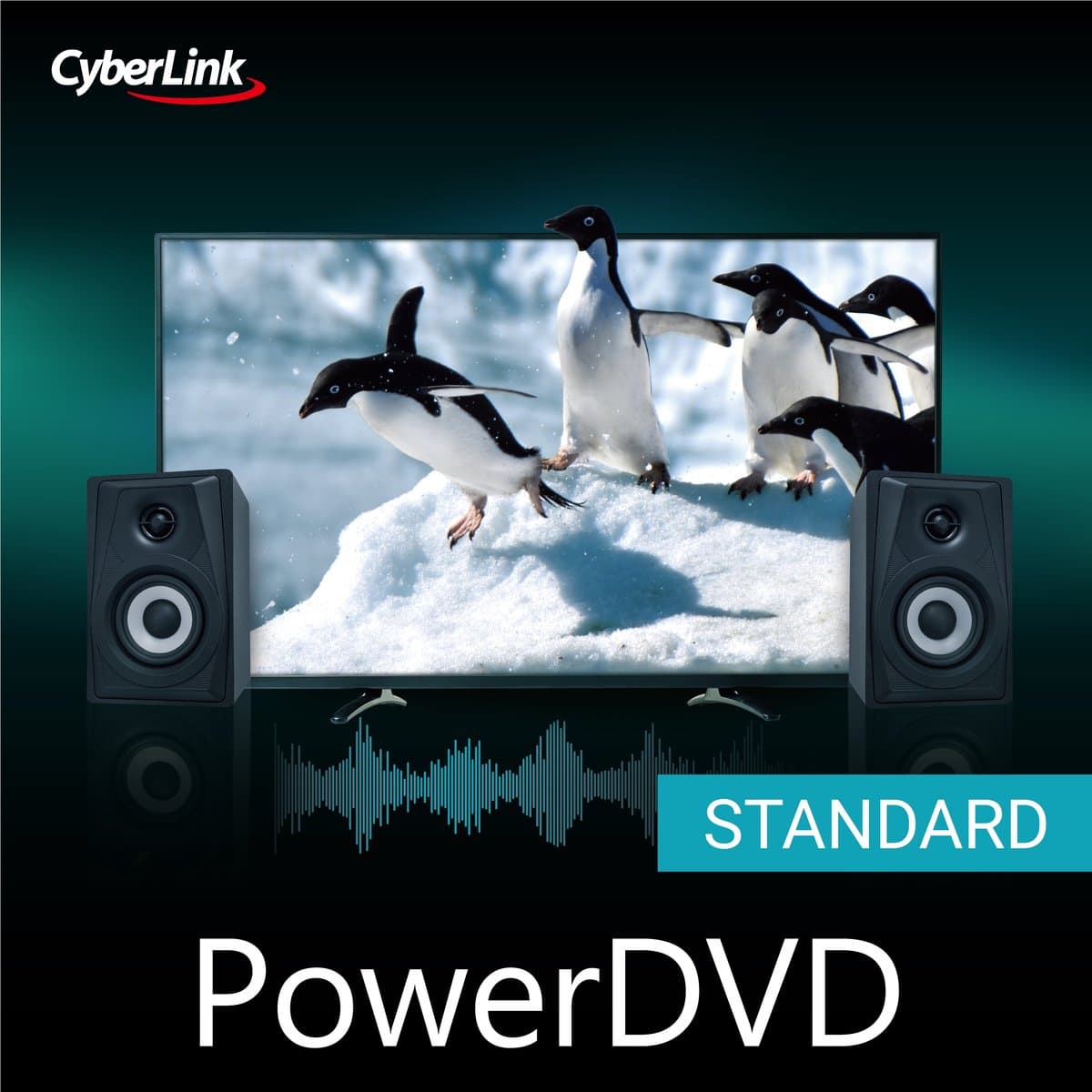 CyberLink PowerDVD 24 Standard - Windows Download