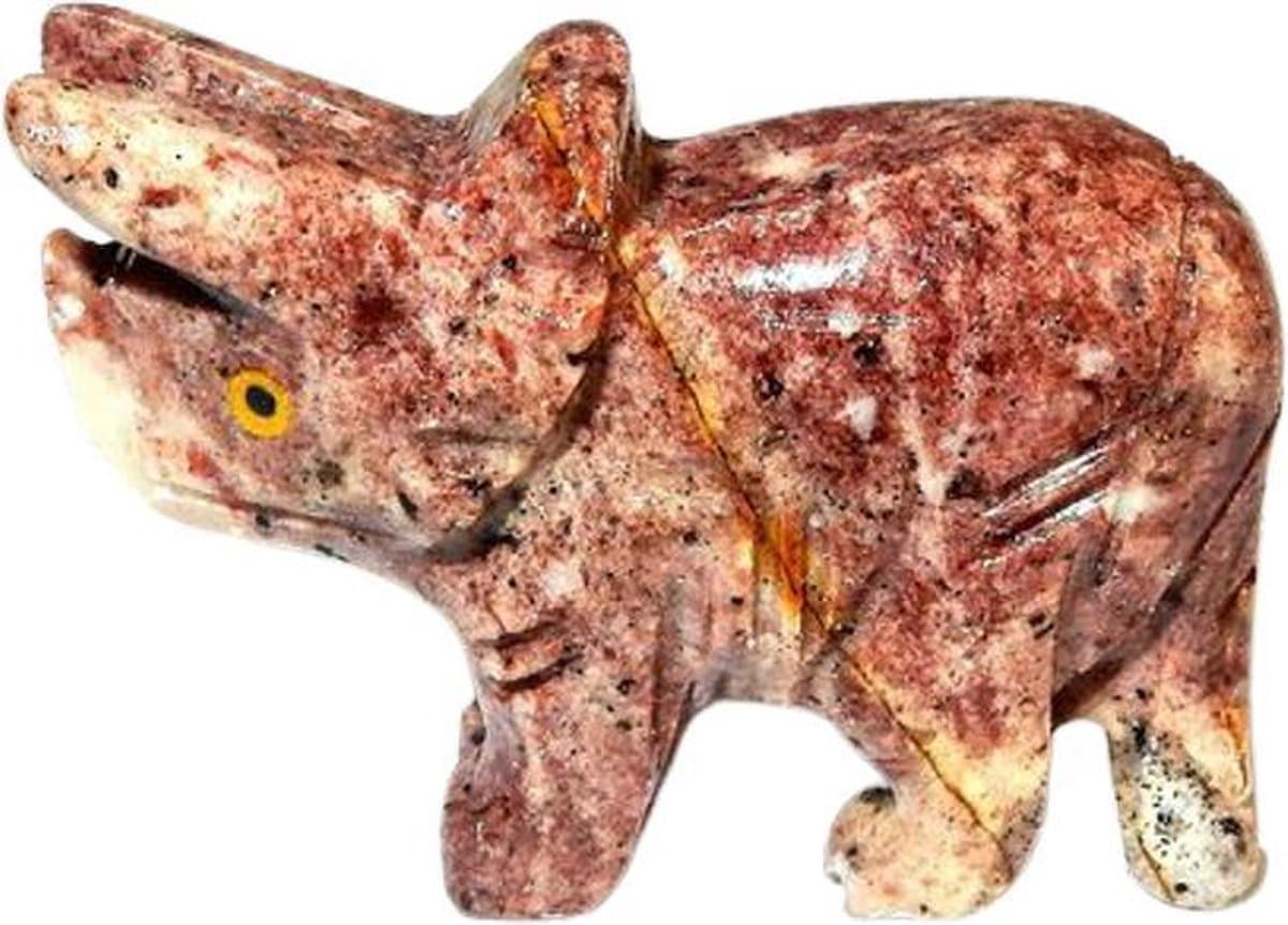 Aragoniet Ceratopsid Dinosaurus