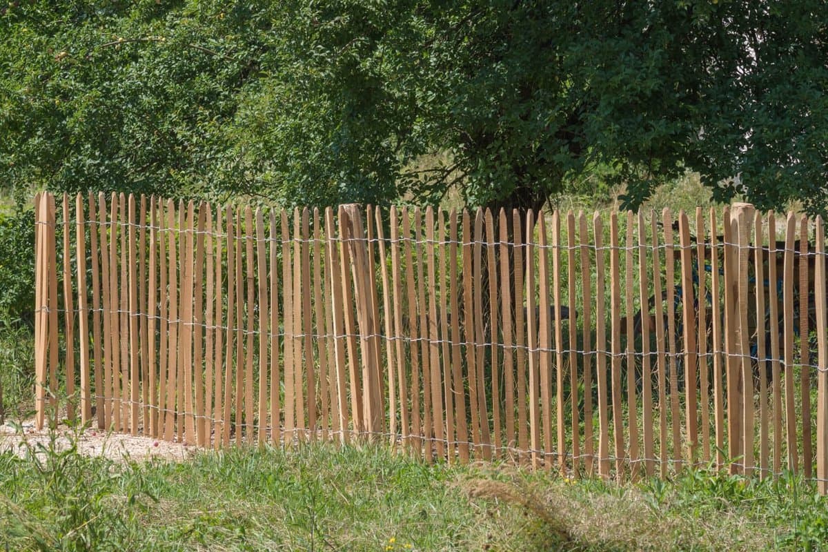 Intergard Frans schapenhek robinia 80cmx10m latafstand 8-9 cm