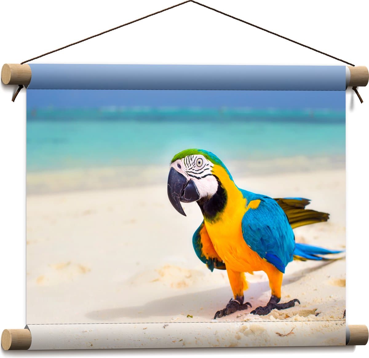 Textielposter - Vrolijke Blauw met Gele en Groene Are Papegaai lopend over het Strand - 40x30 cm Foto op Textiel