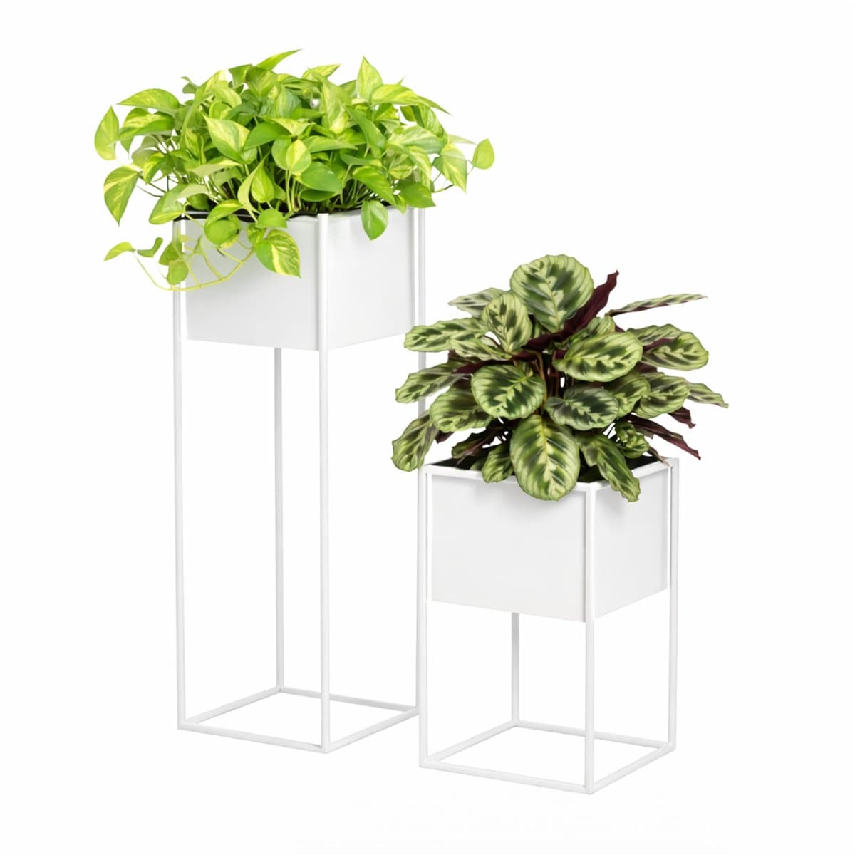 Anwicar Plantenstandaard Wit Hoogte 70 cm - Metaal Plantenrek - Plantentafel - Kamerplanten - Bloempotten voor Binnen en Buiten