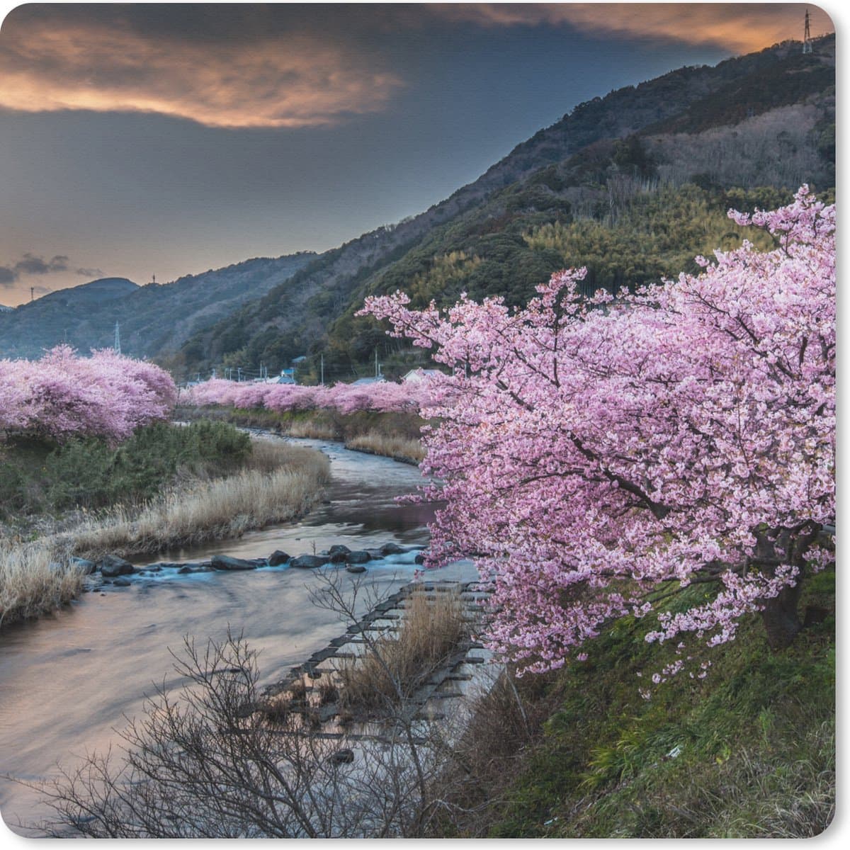 Muismat 20x20 cm - Mousepad Kersenboom - Bergen - Lente - Muismatten
