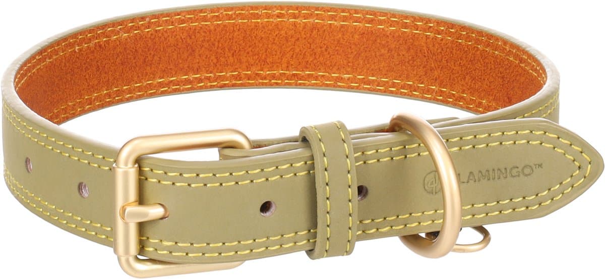 Flamingo - Hond Halsband Virginia Groen M / L 38-48cm 25mm