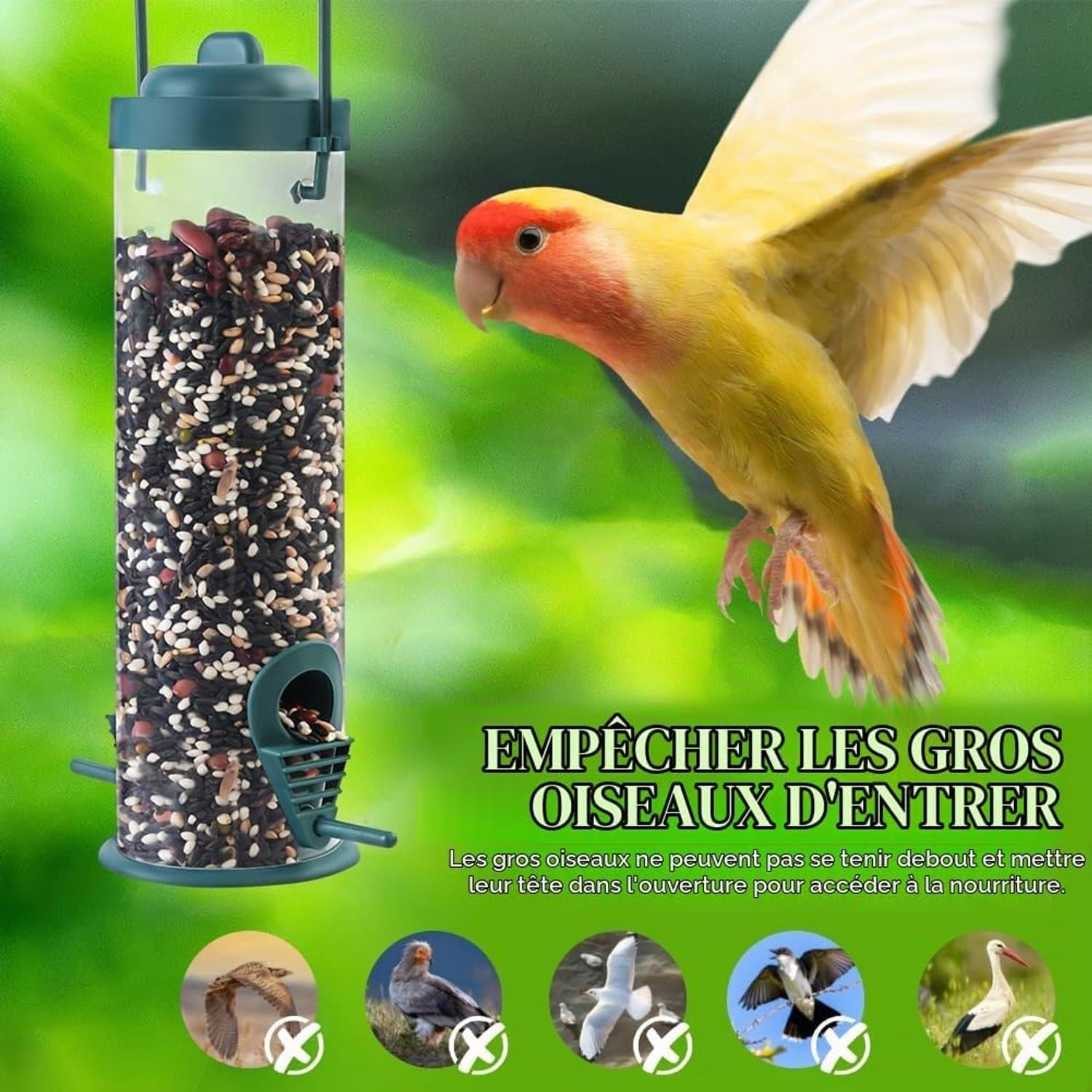 Vogelvoeder, 1 hangende vogelvoeder, voederbak voor wilde vogels, geschikt voor mussen en diverse wilde vogels (groen).