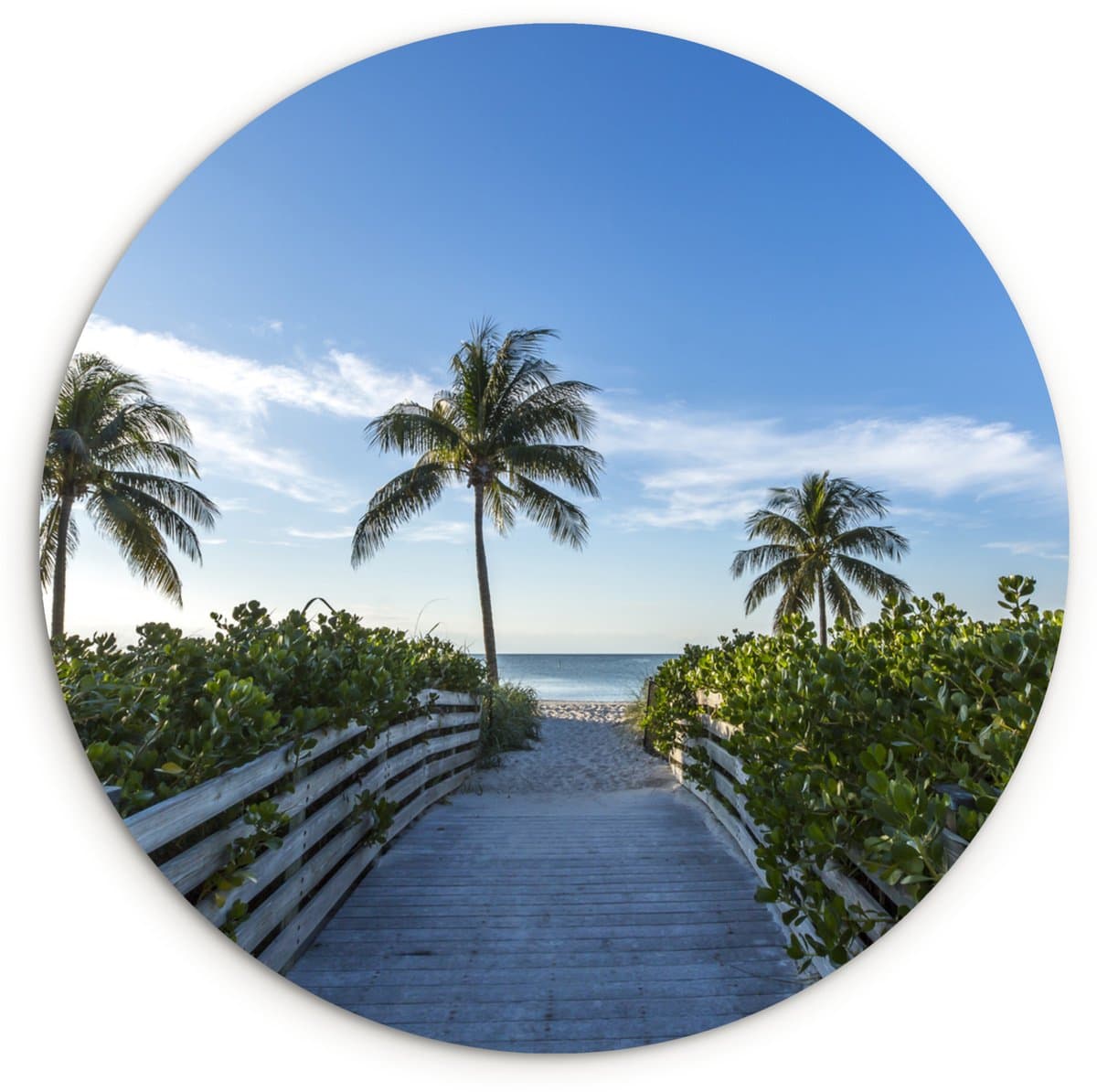 WallCircle® Wandcirkel 140x140 cm - Muurcirkel Florida - Brug - Groen - Muurdecoratie woonkamer - Wanddecoratie slaapkamer - Kamer decoratie accessoires - Ronde schilderijen