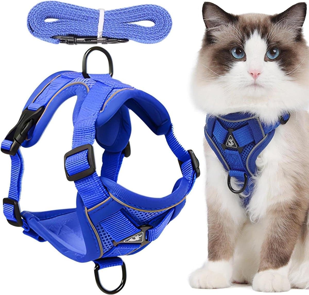 Kattentuigje - Harnas voor kat - Veilig wandelen - Ontsnappingsbestendig ontwerp - Maat S - Blauw
