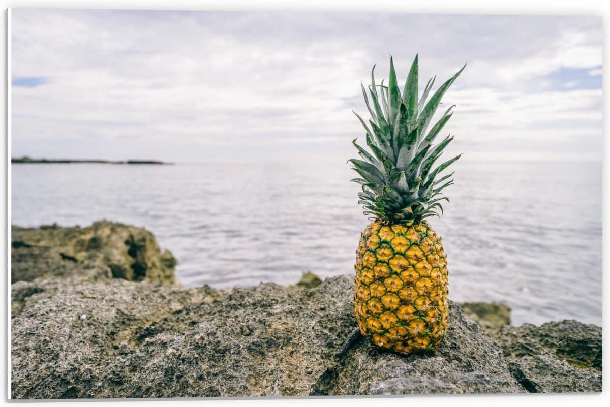 Forex - Ananas op een Rots bij de Zee - 60x40cm Foto op Forex