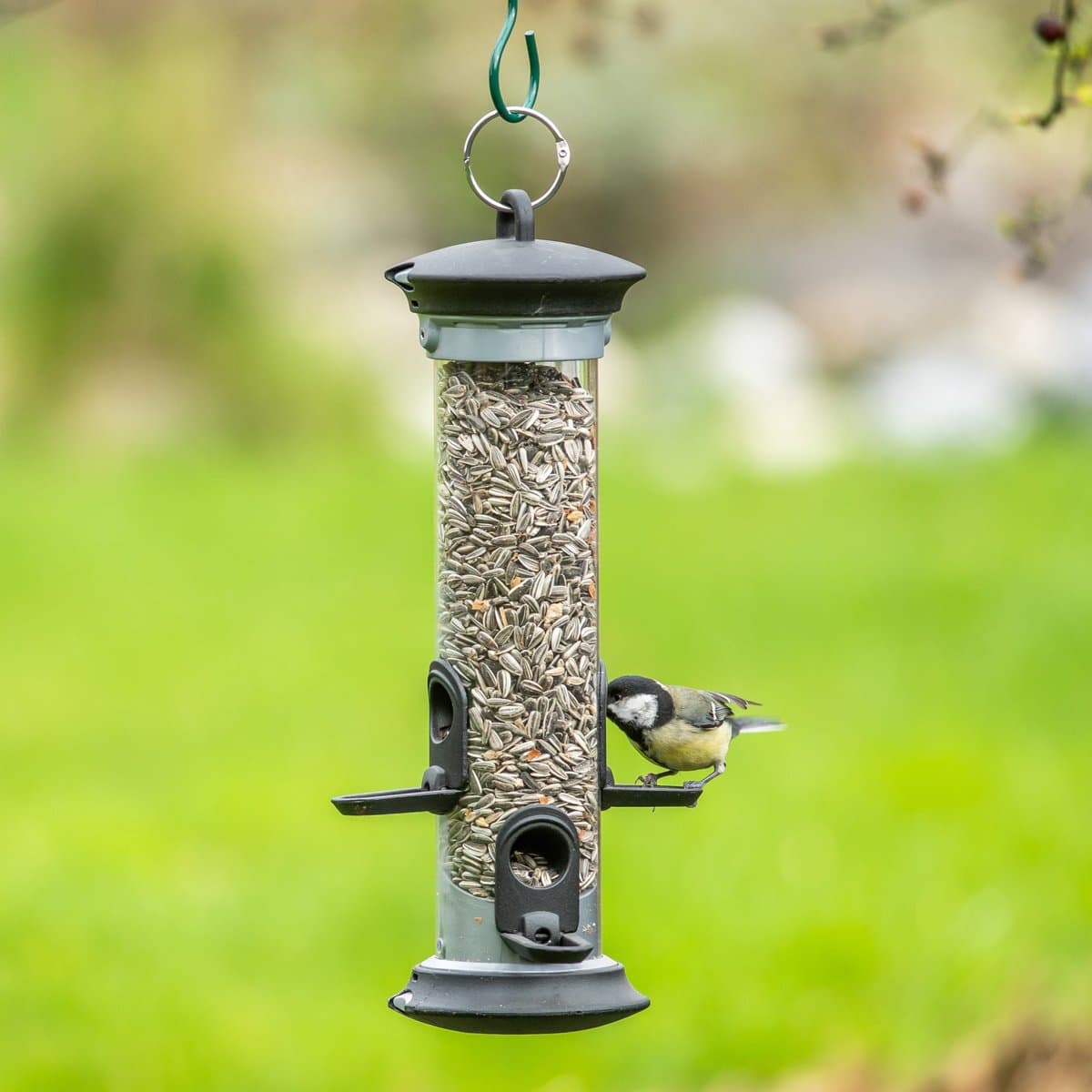 CJ Wildlife Voedersilo voor Tuinvogels - Apollo - 4 Openingen - Vogelvoedersilo voor Kleine Vogels - Hangend Vogelvoederhuisje - Vogelvoer Silo - Grafietgrijs