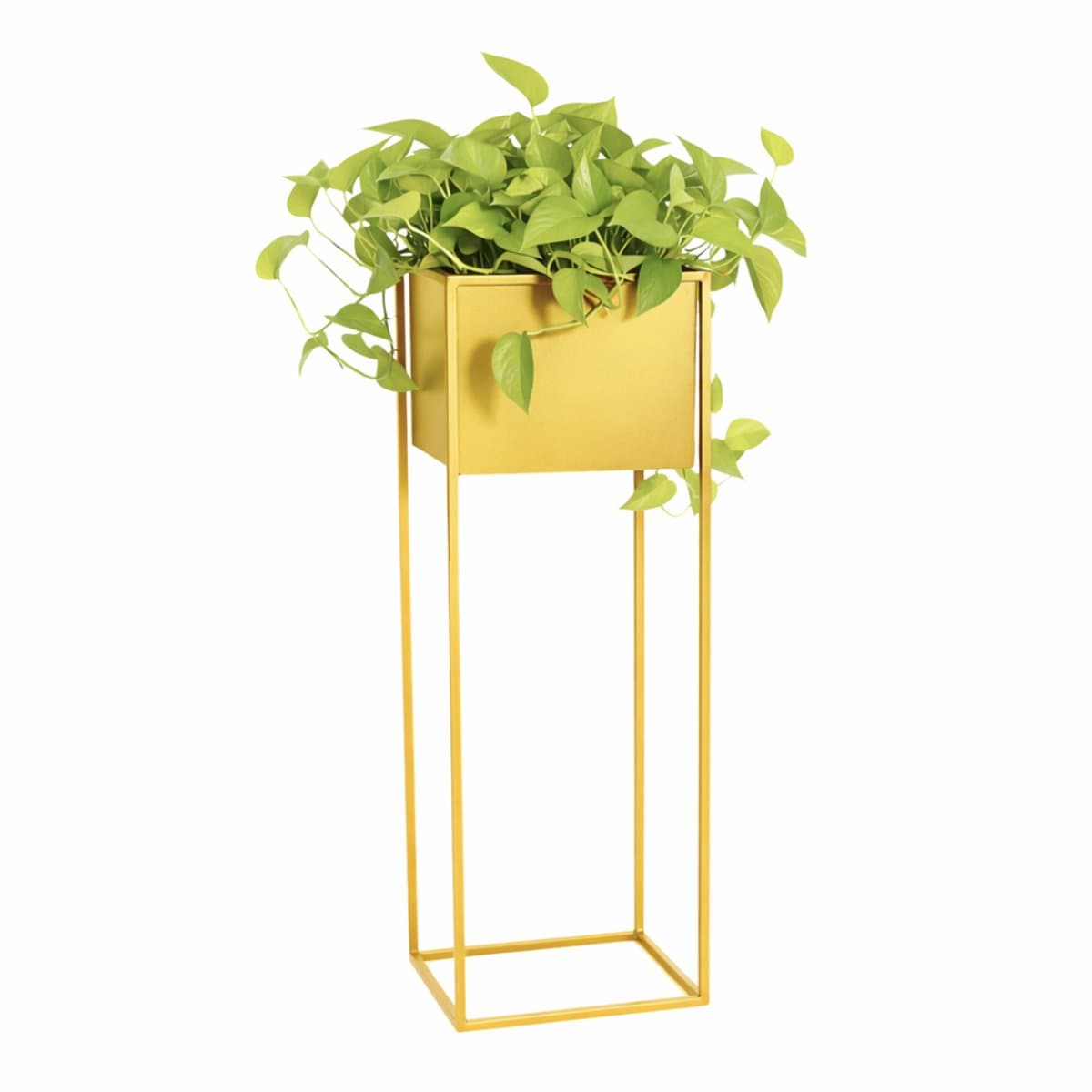Anwicar Plantenstandaard Goud Hoogte 70 cm - Metaal Plantenrek - Plantentafel - Kamerplanten - Bloempotten voor Binnen en Buiten