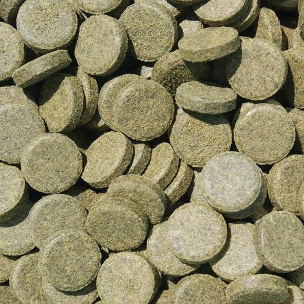 Tabletten Spirulina (500ml)