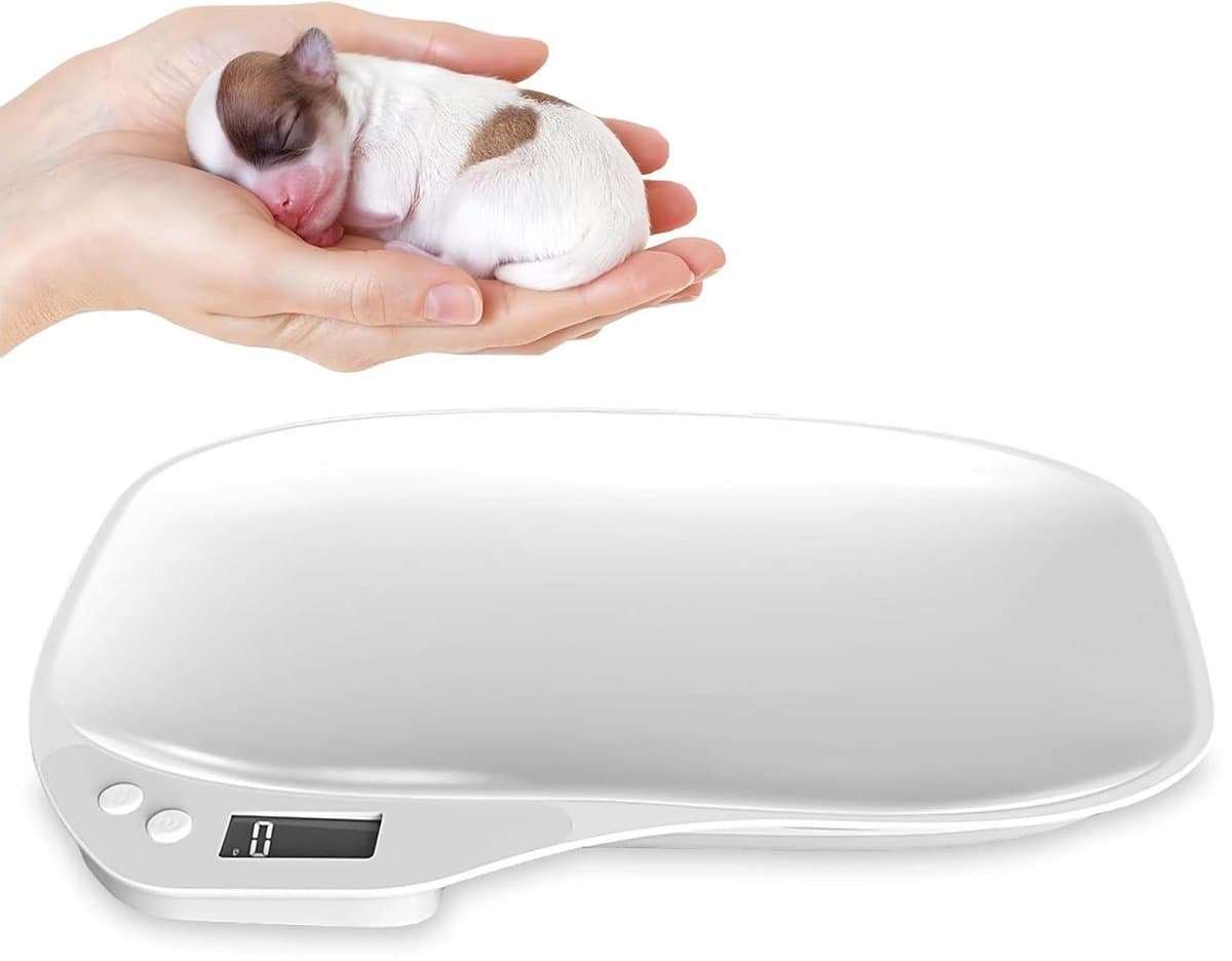 Digitale Huisdierweegschaal - Kleine dieren weegschaal - Gezondheid monitoren - Hoge nauwkeurigheid 1 gram - Max 15 kg - Wit