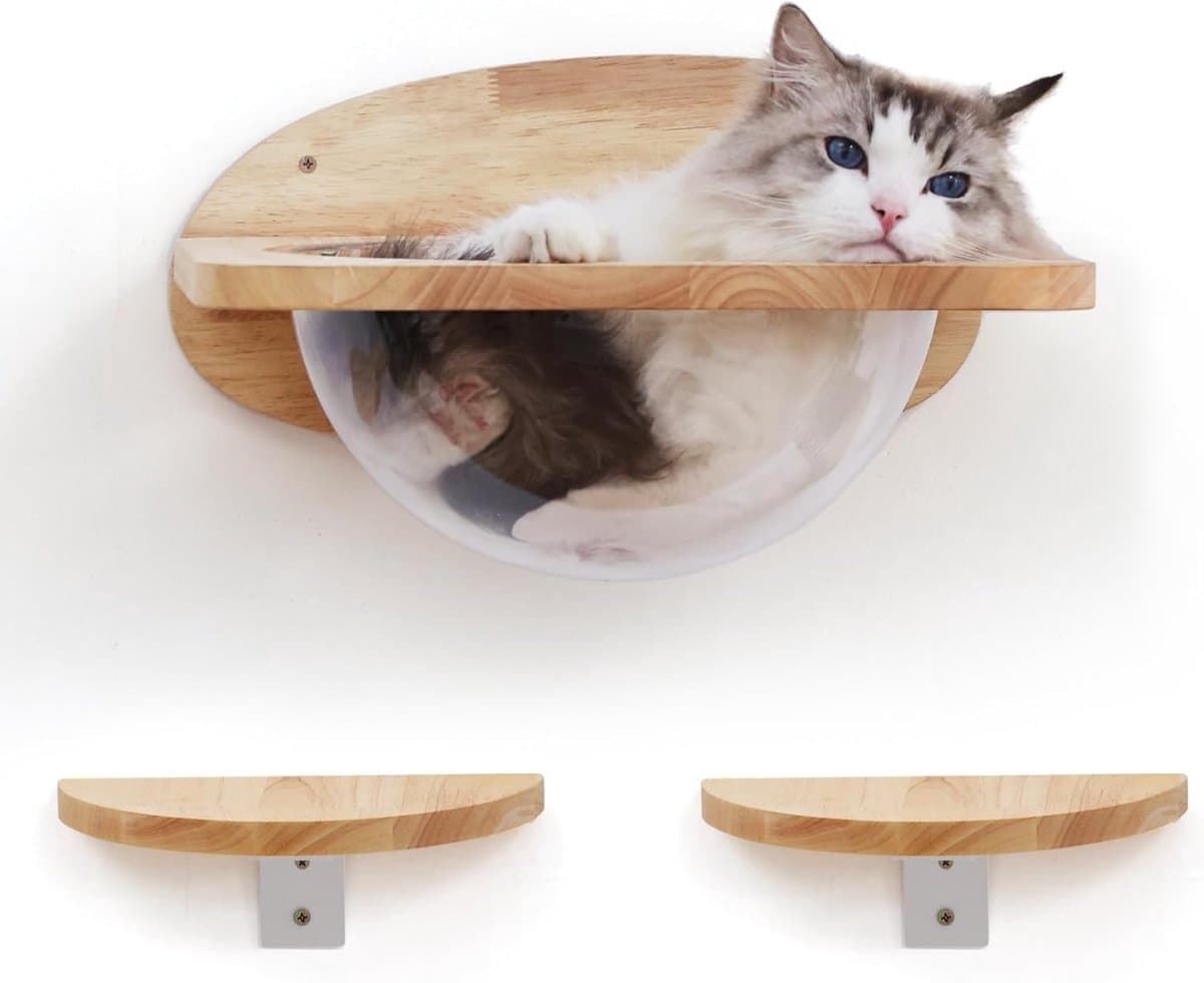 Kattenwandmeubelset - Klimmeubel voor katten - Spelen en klimmen - Handgemaakt rubberhout - Ø 40 cm - Transparant