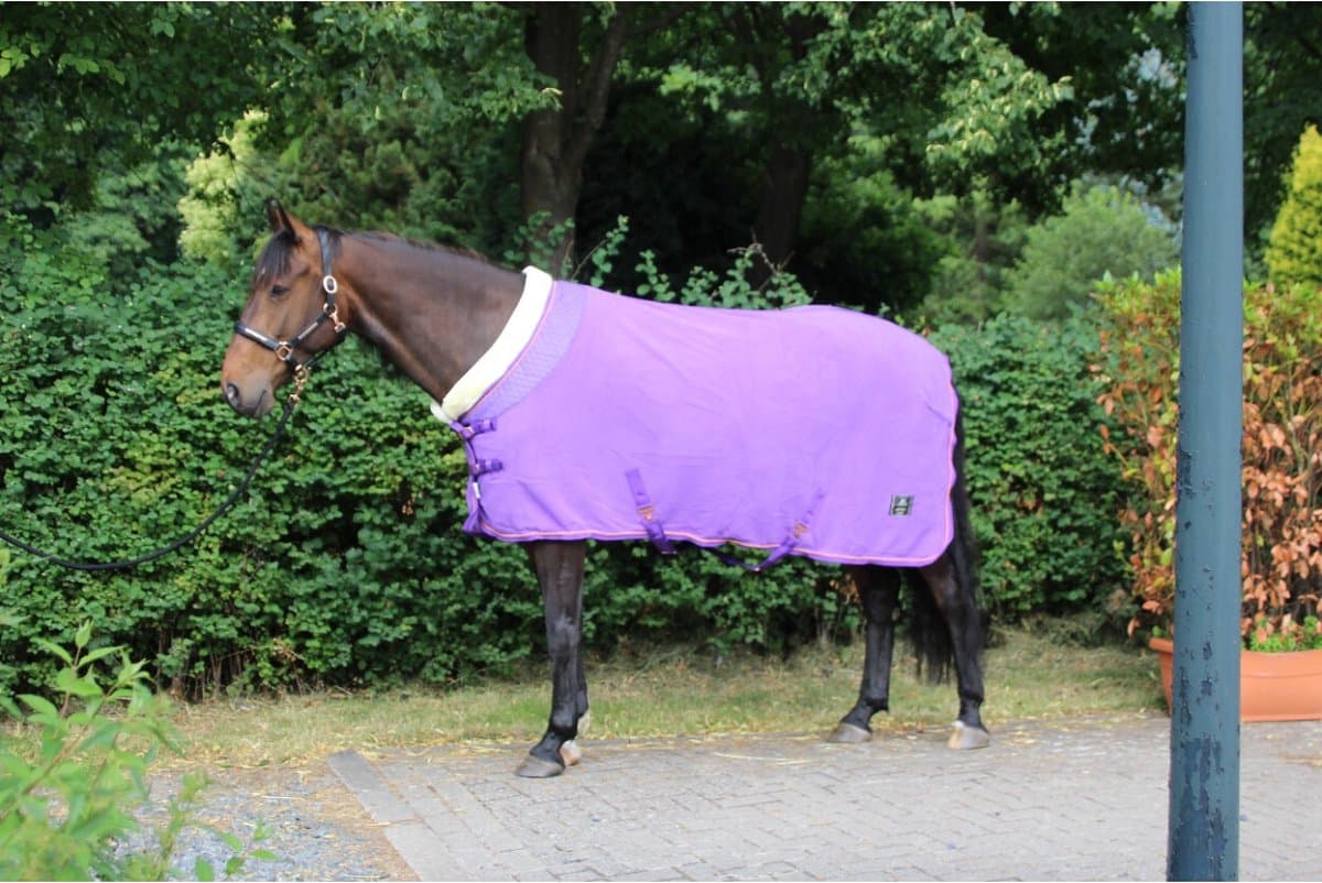 MHS Fleecedeken Deluxe 105/135 cm Paars