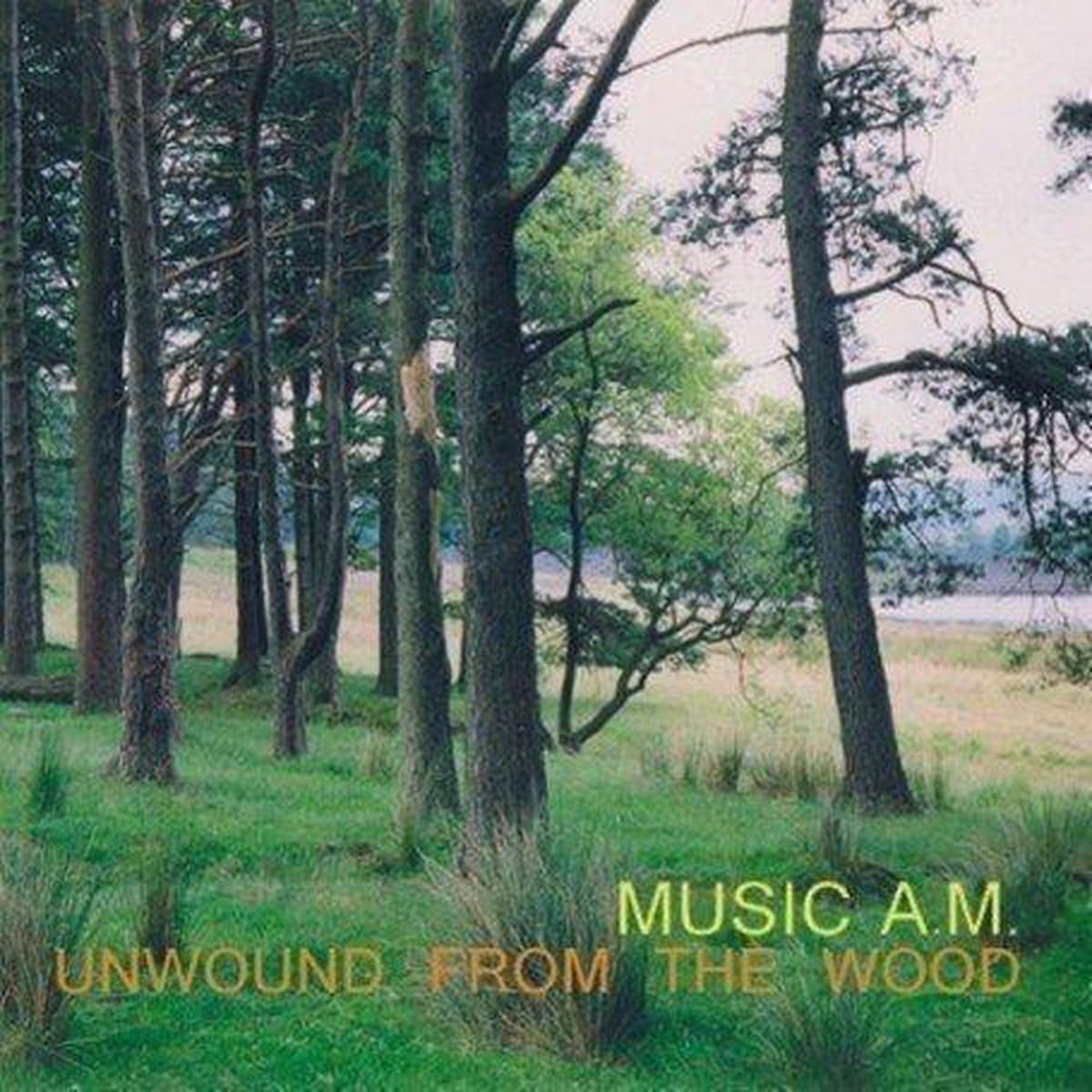 Unwound From The Wood