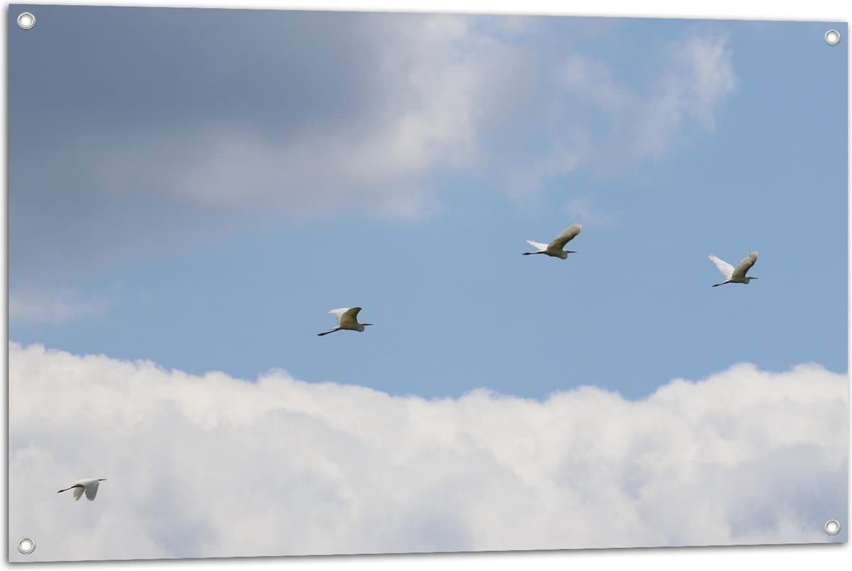 Tuinposter – Vogels Vliegend Voorbij de Wolken - 105x70 cm Foto op Tuinposter (wanddecoratie voor buiten en binnen)