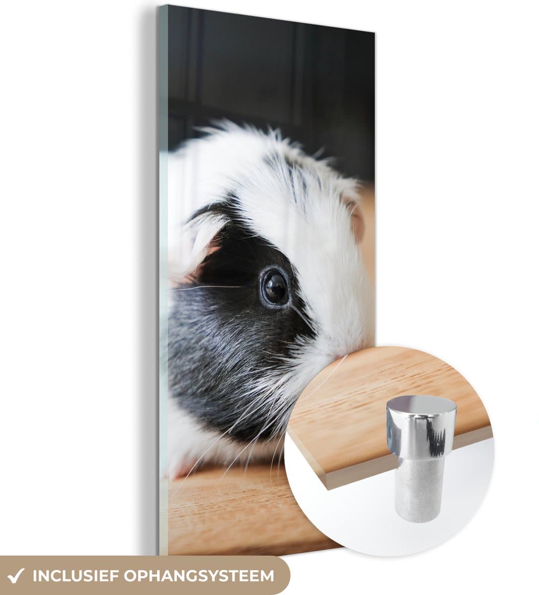 ® Glasschilderij 40x80 cm - Schilderij acrylglas - Close-up van een gevlekte baby cavia - Foto op glas - Muurdecoratie woonkamer - Wanddecoratie slaapkamer - Schilderijen