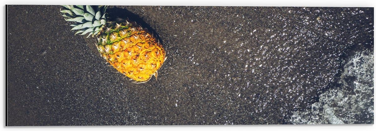 Dibond - Ananas op het Strand met Zee - 60x20 cm Foto op Aluminium (Met Ophangsysteem)