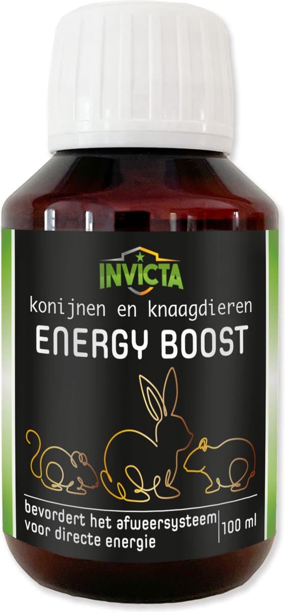Invicta Energy Boost - Voedingssupplement - 100 ml