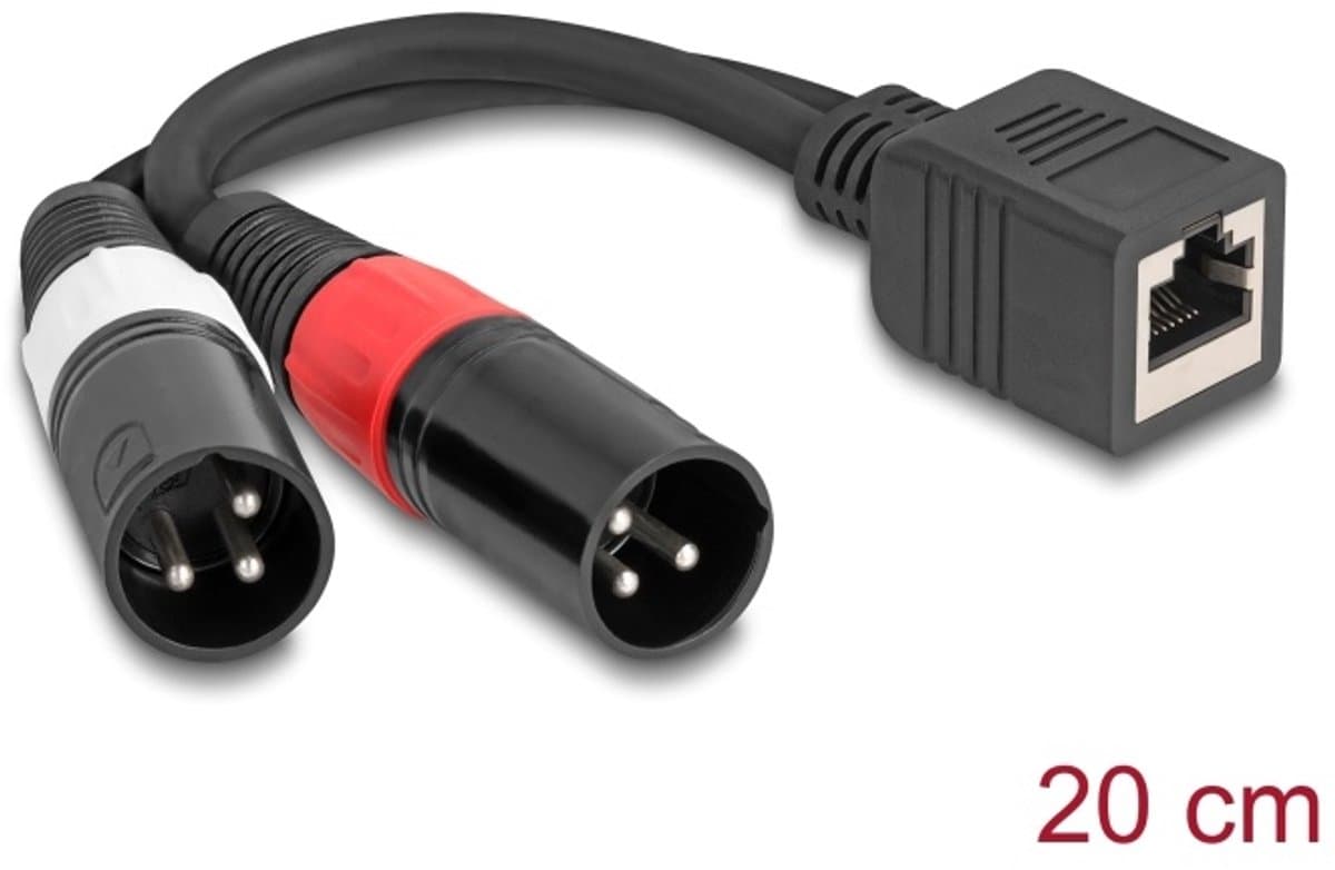 DeLOCK 88179 audio kabel 0,2 m RJ-45 2 x XLR (3-pin) Zwart