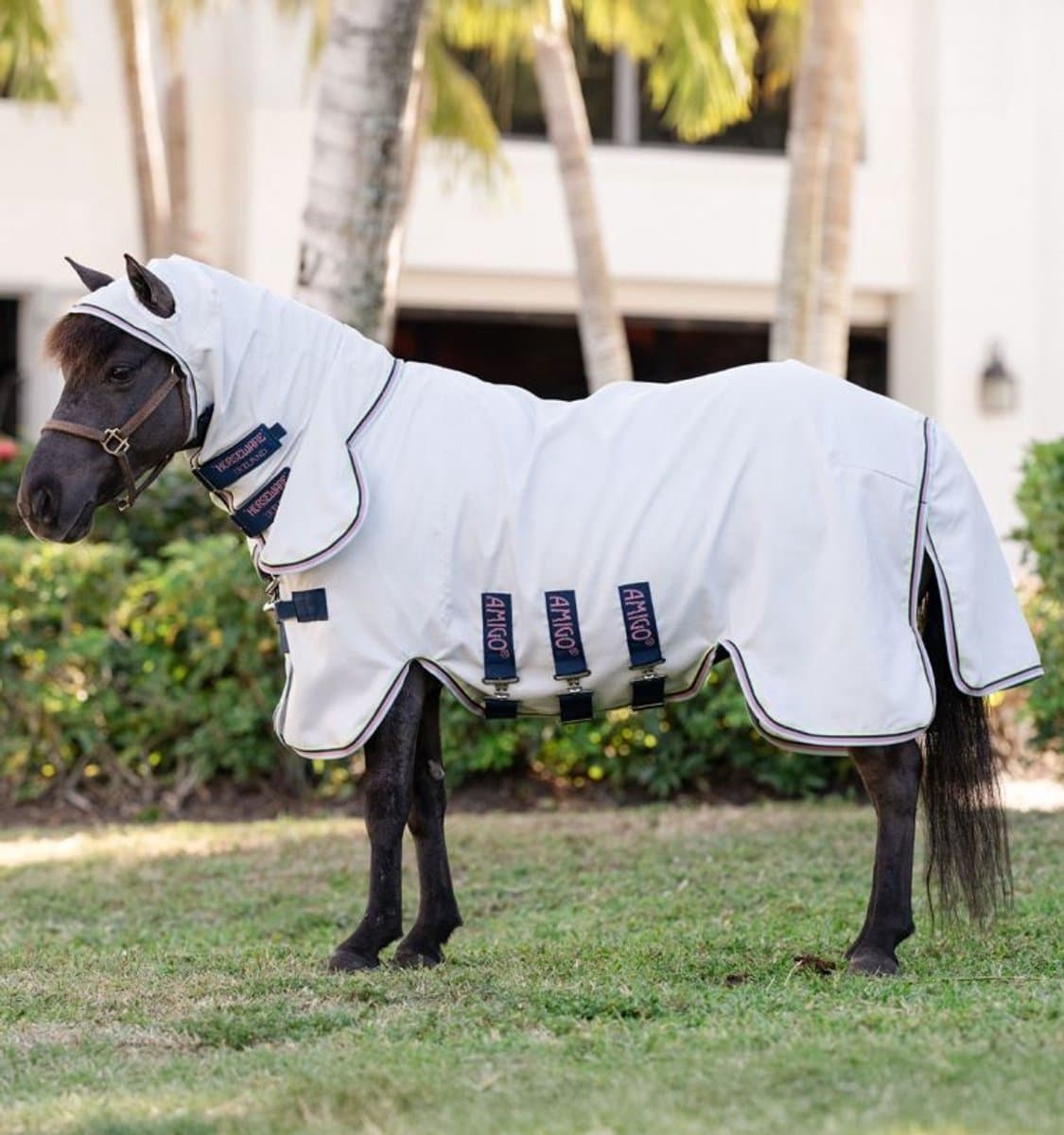 Amigo Petite Ripstop Hoody-Krijt-70-105 pony