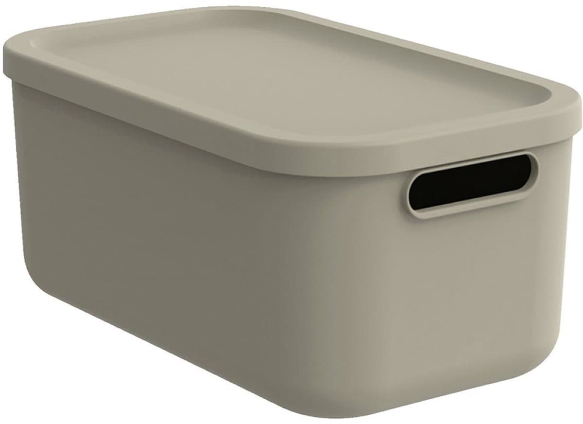 Rotho KAYO Multi Box 39.5×23.5×17.7 cm 12L Cappuccino