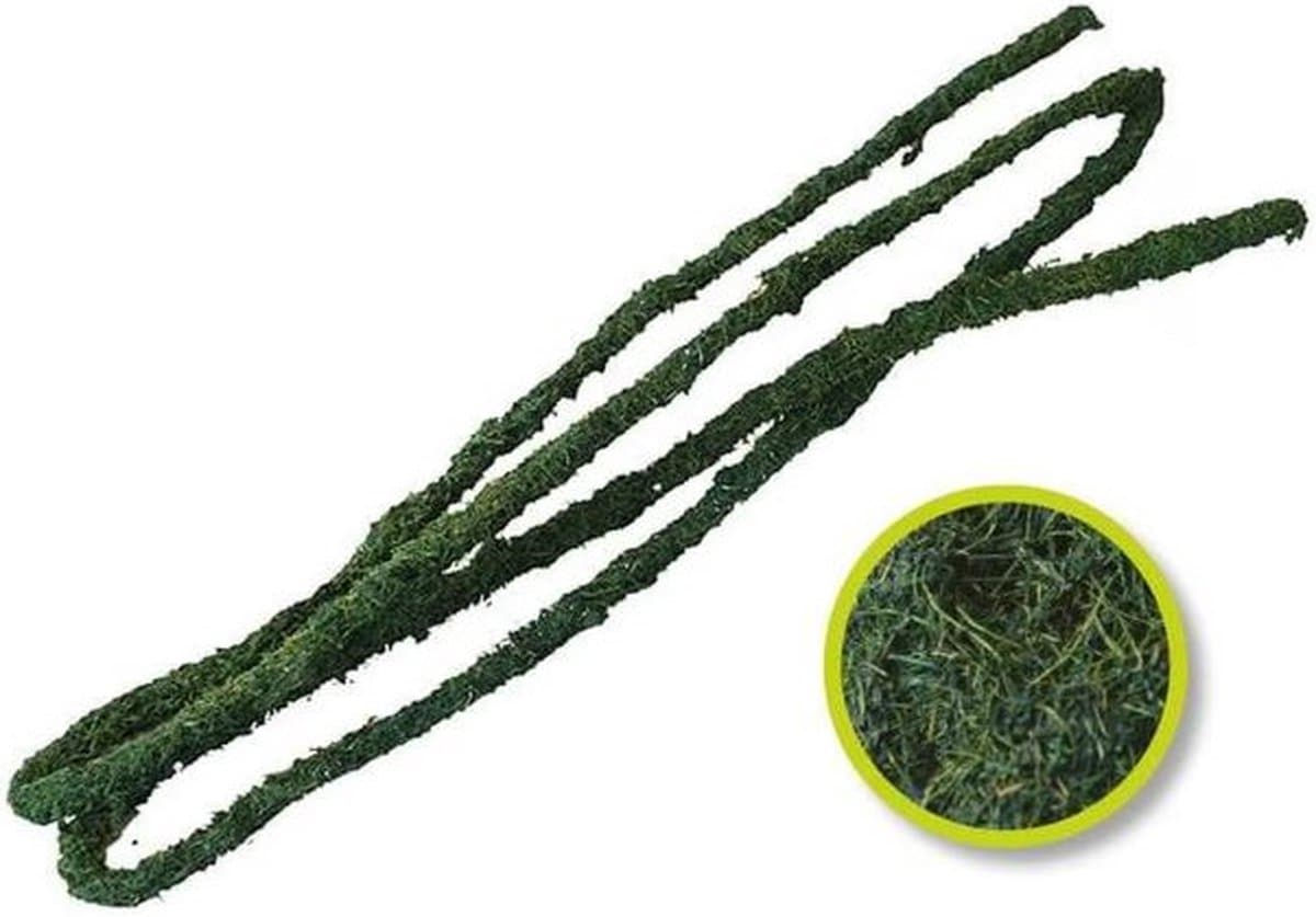 Komodo natuurlijke tropische wijnstok GROOT