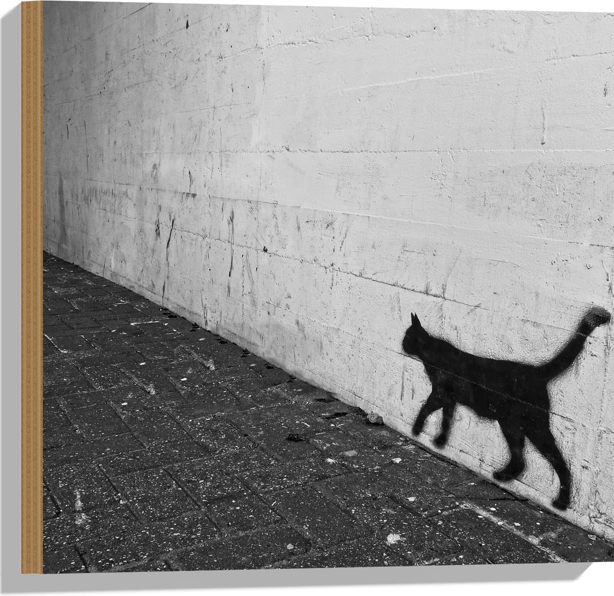 Hout - Muurversiering van Kat - 50x50 cm - 9 mm dik - Foto op Hout (Met Ophangsysteem)