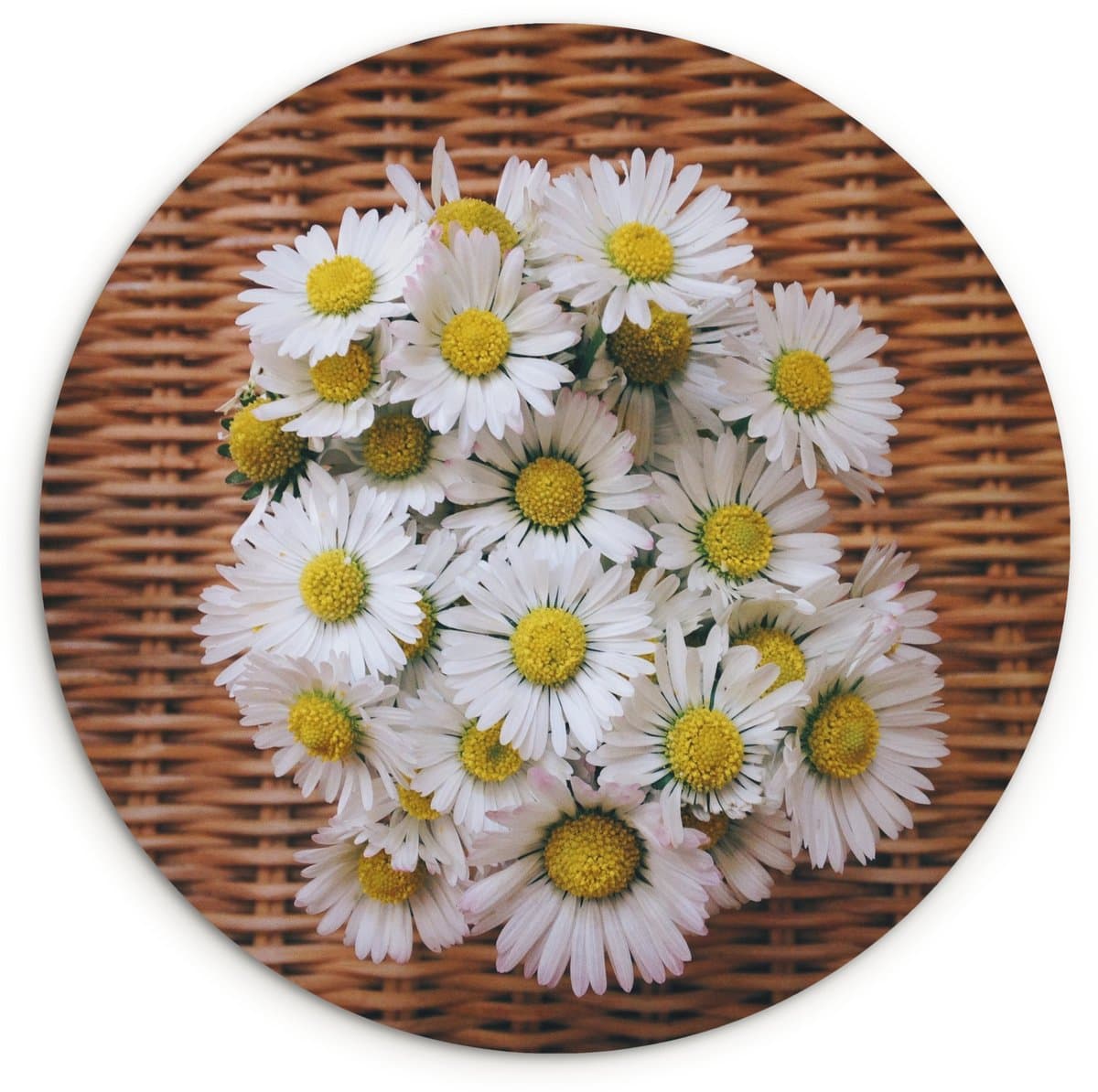 WallCircle® Wandcirkel 140x140 cm - Muurcirkel Boekt van madeliefjes op een stoel - Muurdecoratie woonkamer - Wanddecoratie slaapkamer - Kamer decoratie accessoires - Ronde schilderijen