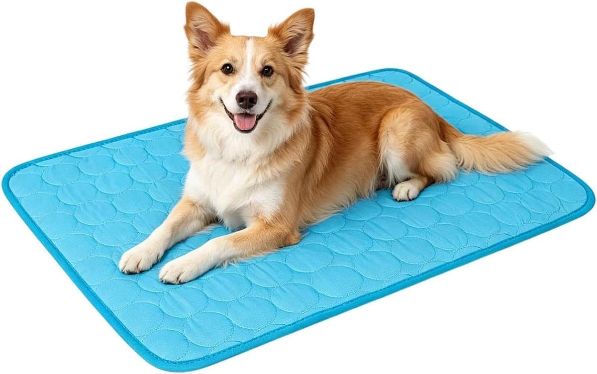 Koelmat Hond - Verkoelende deken - Hitte verminderen - Ademende ijszijde - 150x90cm Groot - Blauw