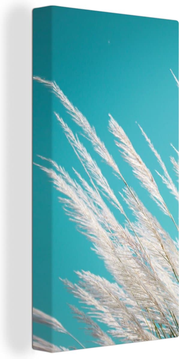 Canvas Schilderij Pampasgras - Plant - Plant - 20x40 cm - Wanddecoratie