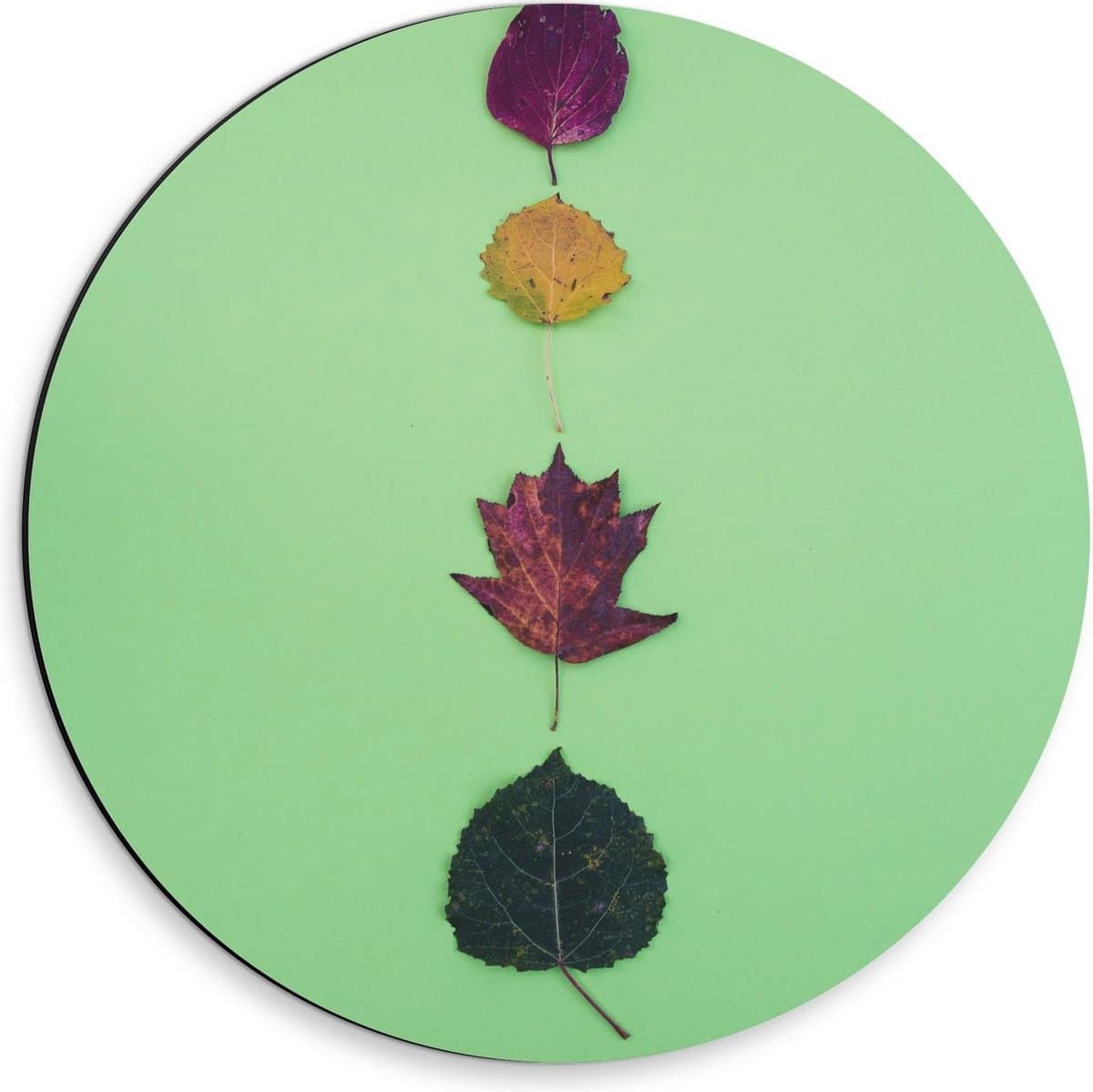 Dibond Wandcirkel - Vier Blaadjes op Groene Achtergrond - 30x30cm Foto op Aluminium Wandcirkel (met ophangsysteem)