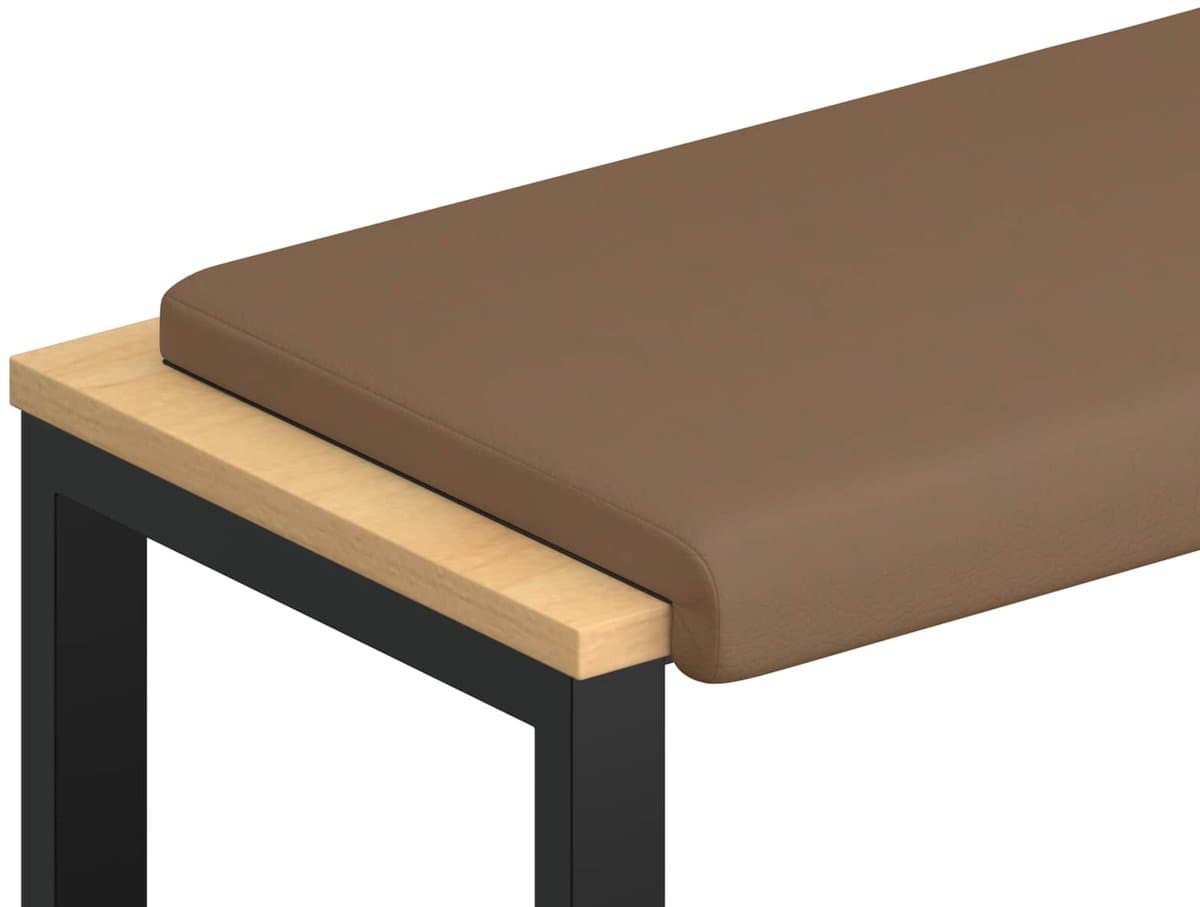 vidaXL - Bankkussen - Kunstleer - Cappuccino - Diepte - 35 - cm