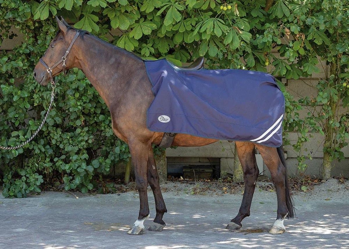 Harry's Horse Uitrijdeken 0gr waterdicht met fleece voering L Kleurloos
