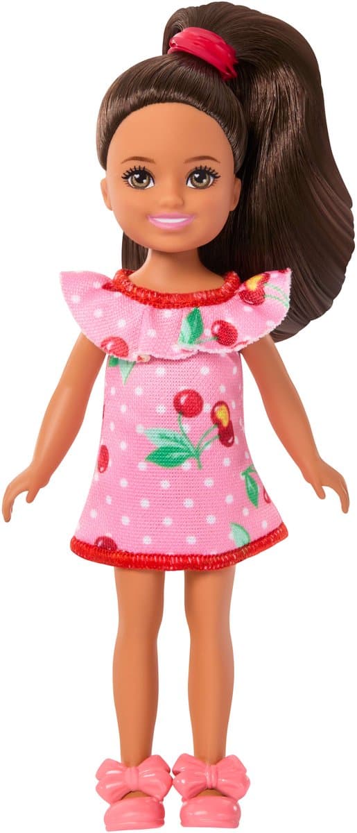 Barbie Familie en Vrienden Pop