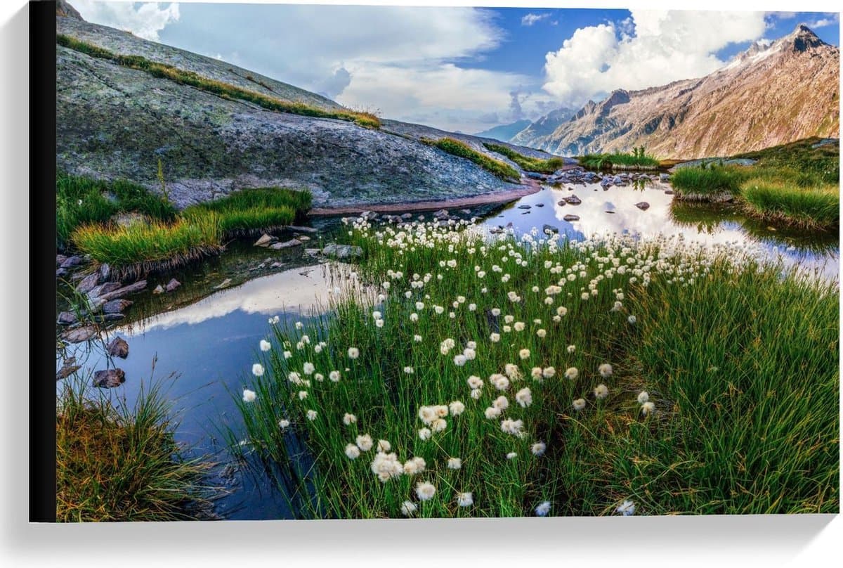 Canvas - Witte Bloemetjes bij Bergen - 60x40cm Foto op Canvas Schilderij (Wanddecoratie op Canvas)