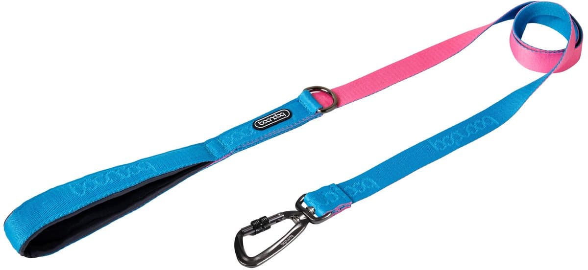 Boondog Hondenriem 1.4m - Sterke Nylon Riem - Comfortabele Grip - Lichtgewicht Karabijnhaak - Voor Dagelijks Gebruik - Aqua/Pink - Maat L
