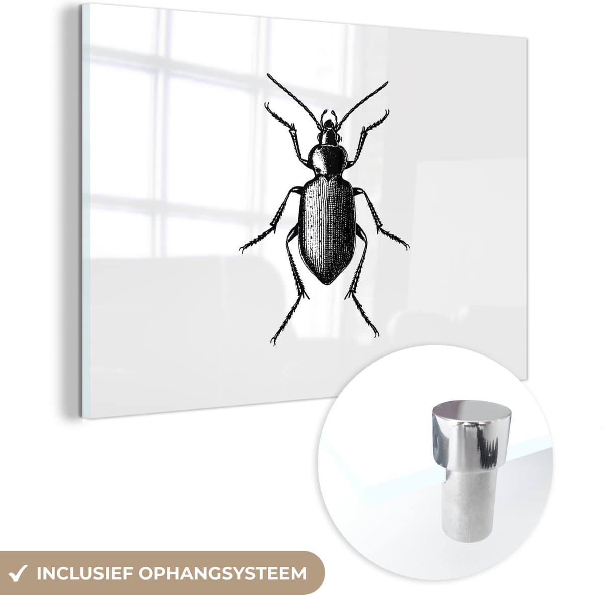 MuchoWow® Glasschilderij 150x100 cm - Schilderij acrylglas - Kever - Dieren - Vintage - Zwart wit - Foto op glas - Schilderijen
