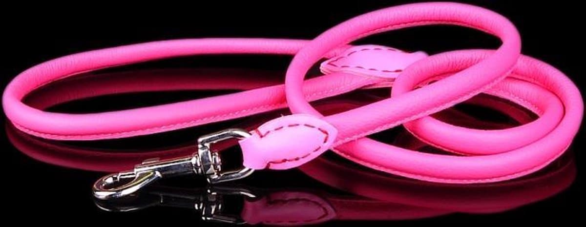 Dog's Companion - Leren Hondenriem - Lengte: 120 cm x 12 mm - Roze